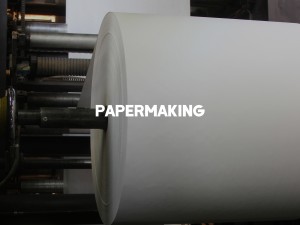造纸